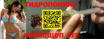 прущие крисы Апшеронск