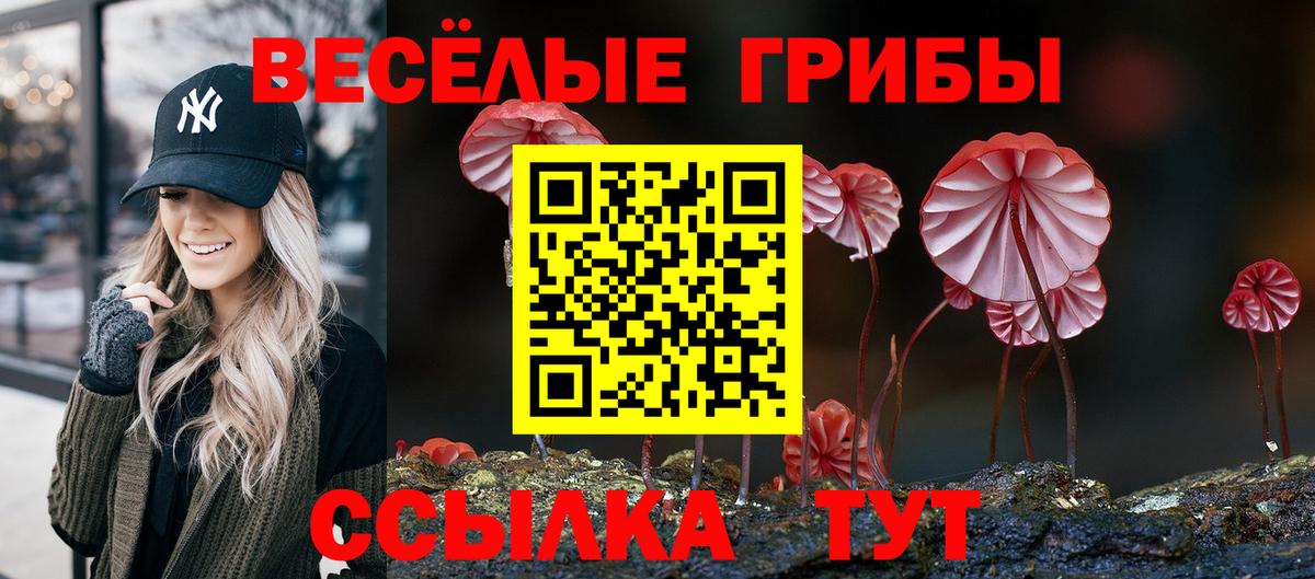 Псилоцибиновые грибы MAGIC MUSHROOMS  Вход с VPN  Псилоцибиновые грибы Psilocybe  Бор 